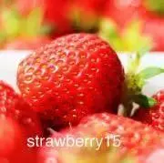 strawberry15の画像