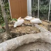 Sekoの画像