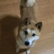 eiko_30