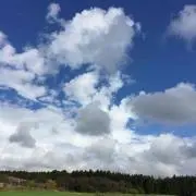値下げ中( ◠‿◠ )