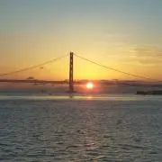 RINの画像