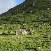 MG