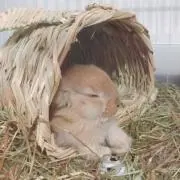 SK♥の画像