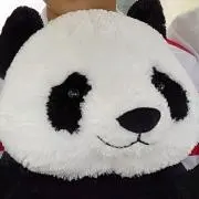 ピッピ【詳しくは自己紹介へ】の画像