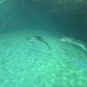 まぁ