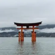 GOODDAYの画像