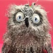 おにぎり★の画像