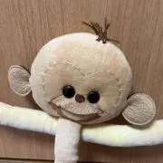 キジコの画像