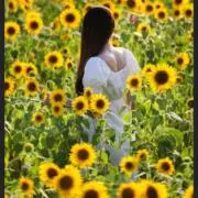 Katayama  （タイムセール中）の画像