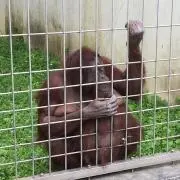 たくぼんの画像
