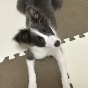 Oの画像