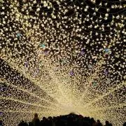 ディズニーJCBカード ピンバッジ ドリンクチケット付き - メルカリ