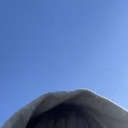 な　ご　み