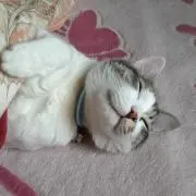 みやさんの画像