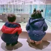 yu。の画像