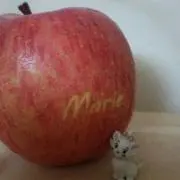 MARIE