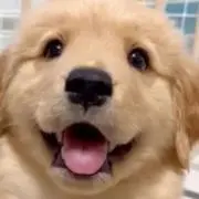 chocomilkの画像