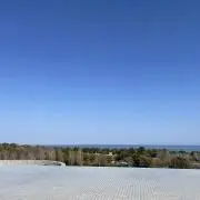 芋けんぴの画像