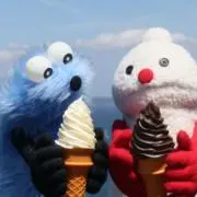 うさの画像
