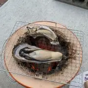 TE