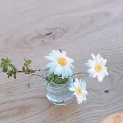 mituの画像