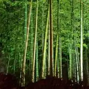 Yukoの画像