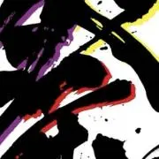 HASUNO 購入後メッセージ必須の画像