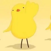 こっこの画像