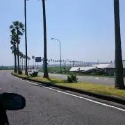 タニーの画像