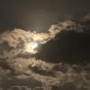 ゆーき