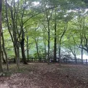 pyonの画像