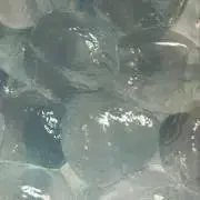 わらびもちの画像