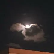 さまさま