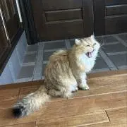 まさしの画像