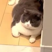るるるん