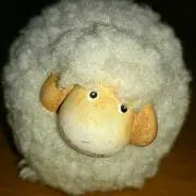 ひつじちゃん