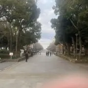 いさ