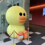 yamの画像