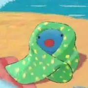 ちゃぴの画像