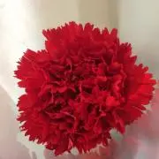 おもち