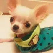 プロフィール読んで下さい☺︎Qooの画像