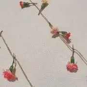 yyukiiiの画像