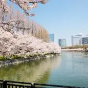 かいの画像
