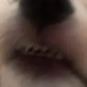 ピッチャン