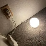とら