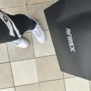 あおもりとばされる