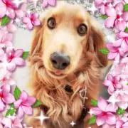 ゆぅちゃん