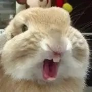 だいふくさん
