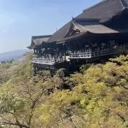 みーの画像