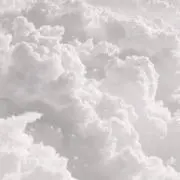 유の画像